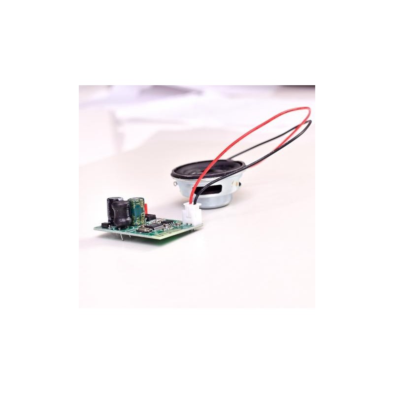 RICAMBI TEKK HOVERBOARD 8 speaker RICAMBI TEKK HOVERBOARD 8 speaker